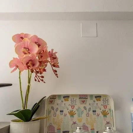 Seagull House 3 Appartement